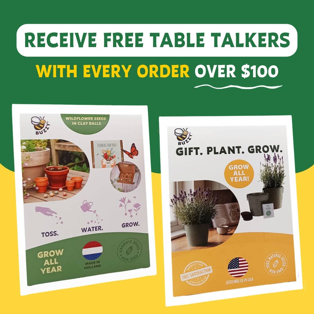 Classic Cactus Grow Kit | Terracotta Planter | Indoor Gift
